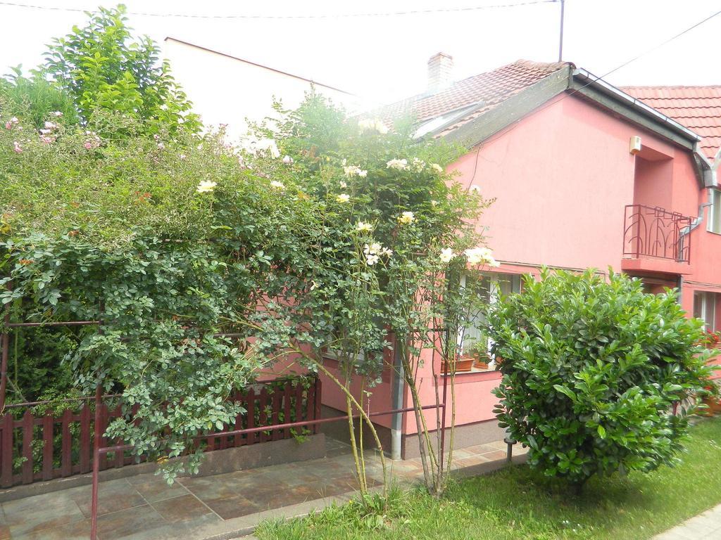 Hotel Cazare Vio Cluj-Napoca Exterior foto